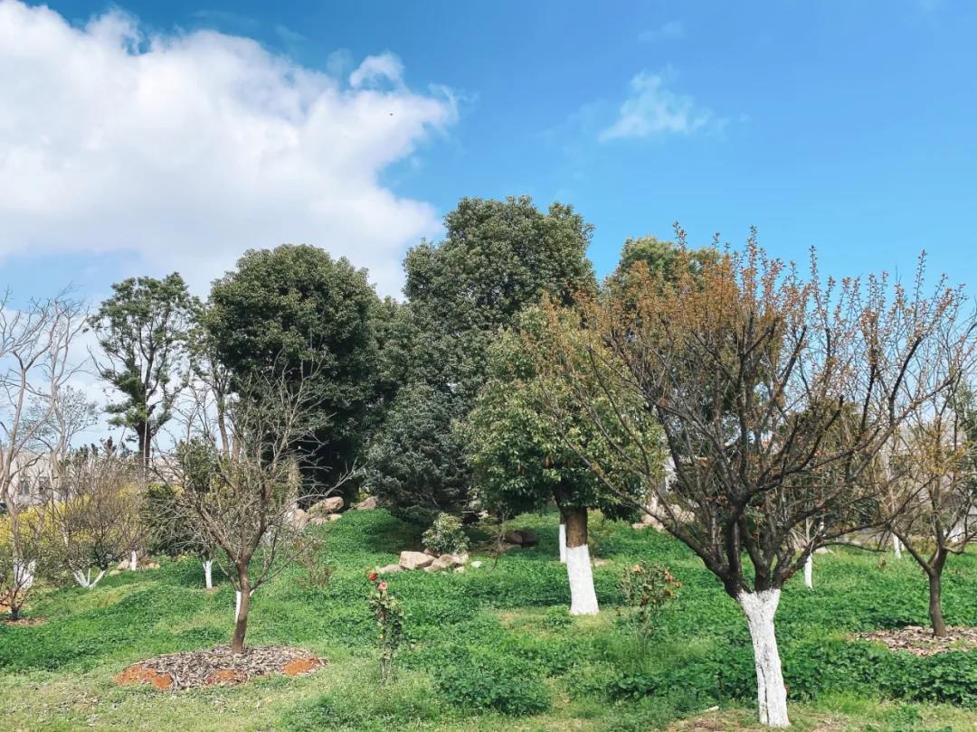 風景這邊獨好！東大環境美景一覽，請查收